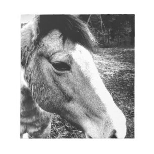 Pferd Notizblock