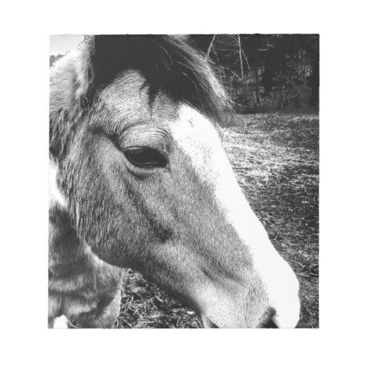 Pferd Notizblock (Vorderseite)