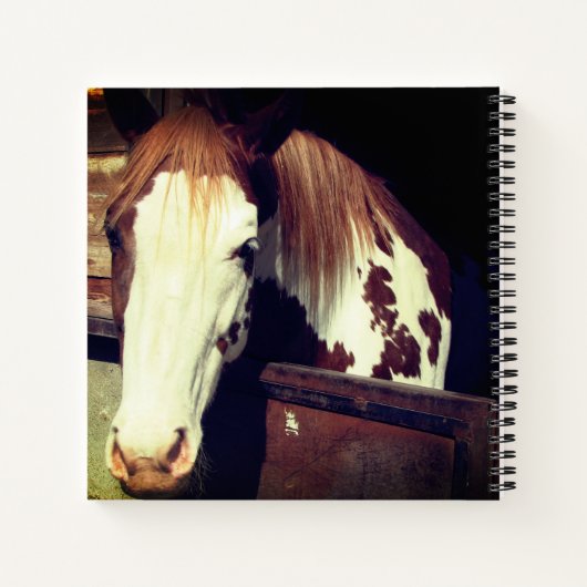 Pferd Notizblock (Rückseite)