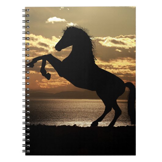 Pferd Notizblock (Vorderseite)