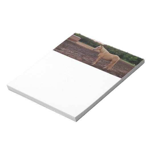 Pferd Notizblock (Rotiert)