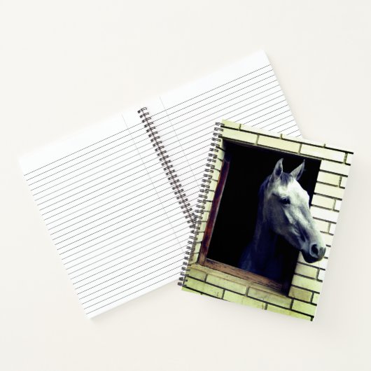 Pferd Notizblock (Innenseite)