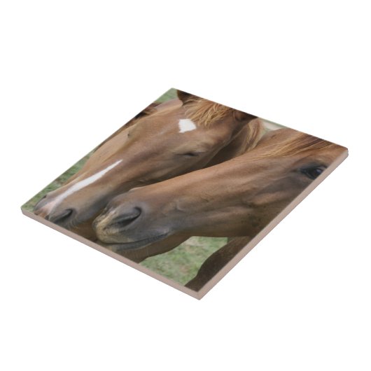 Pferd Nuzzle Fliese (Seite)
