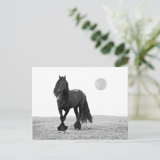 Pferd perfekt postkarte (Stehend Vorderseite)