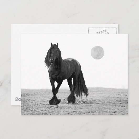 Pferd perfekt postkarte (Vorne/Hinten)