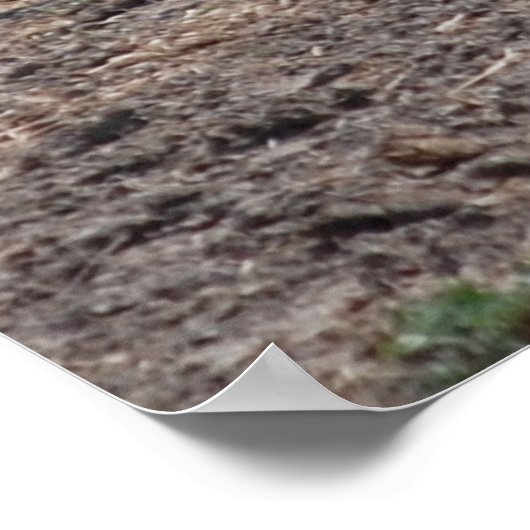 Pferd/Pinsel Poster (Ecke)