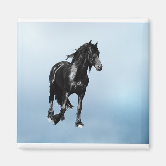 Pferd plötzlich abtauchen magnet (Vorne)