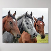 Pferd Poster (Vorne)