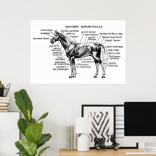 Pferd Poster (Heimbüro)