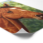 Pferd Poster (Ecke)