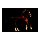 Pferd Poster (Vorderseite)