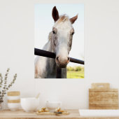 Pferd Poster (Küche)
