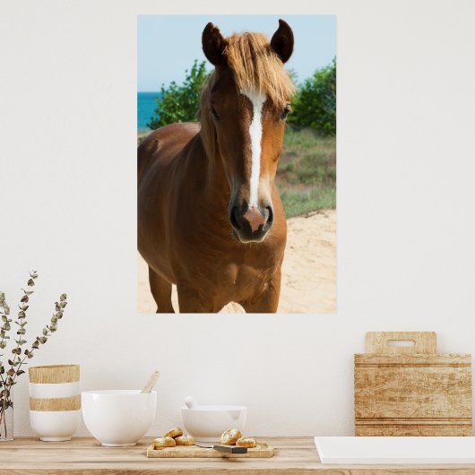 Pferd Poster (Küche)