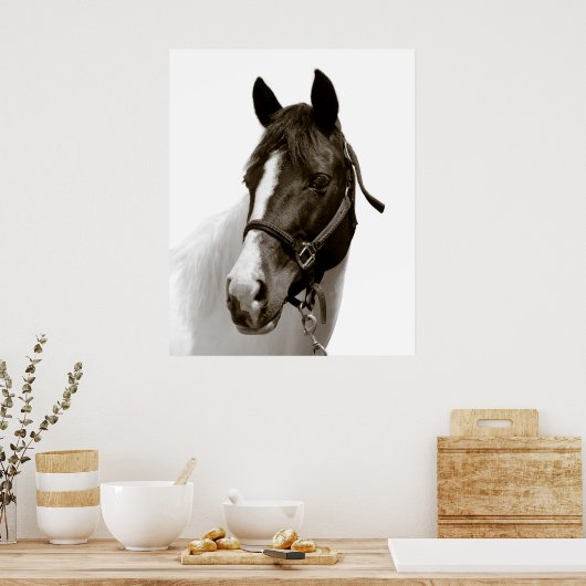 Pferd Poster (Küche)