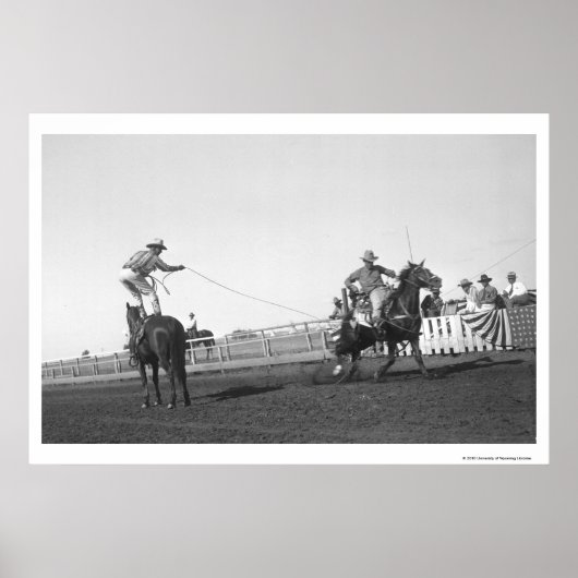 Pferd Poster (Vorne)