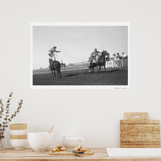 Pferd Poster (Küche)