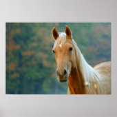 Pferd Poster (Vorne)