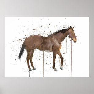 Pferd Poster