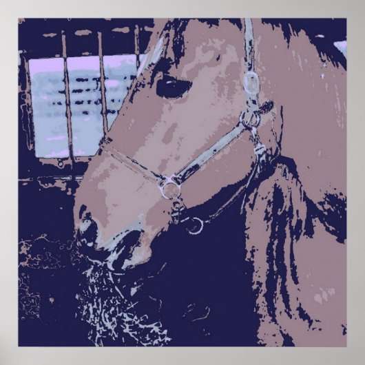 Pferd Poster (Vorne)