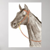 Pferd Poster (Vorne)