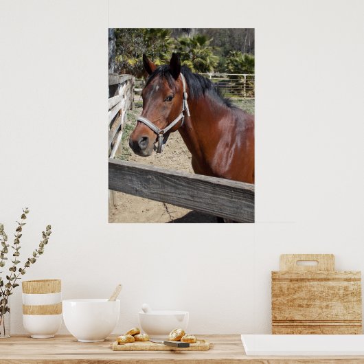 Pferd Poster (Küche)