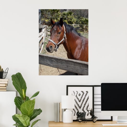 Pferd Poster (Heimbüro)