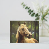 Pferd Postkarte (Stehend Vorderseite)
