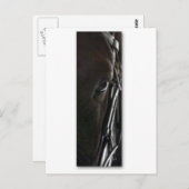 Pferd Postkarte (Vorne/Hinten)