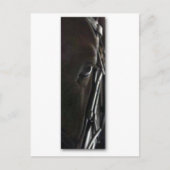 Pferd Postkarte (Vorderseite)