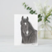 Pferd Postkarte (Stehend Vorderseite)
