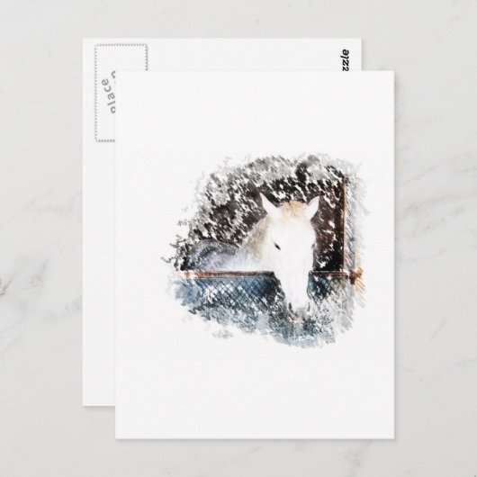 Pferd Postkarte (Vorne/Hinten)