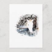 Pferd Postkarte (Vorderseite)