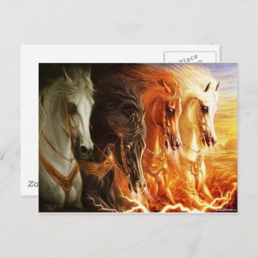 Pferd Postkarte (Vorne/Hinten)