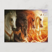 Pferd Postkarte (Vorderseite)