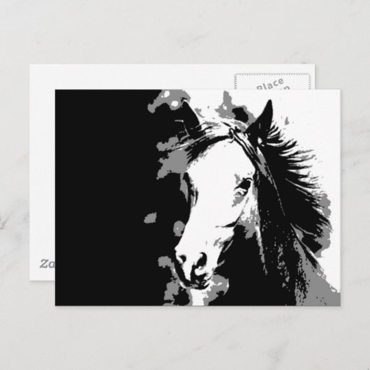 Pferd Postkarte (Vorne/Hinten)