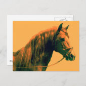 Pferd Postkarte (Vorne/Hinten)