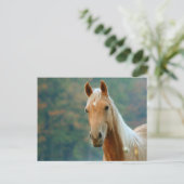 Pferd Postkarte (Stehend Vorderseite)