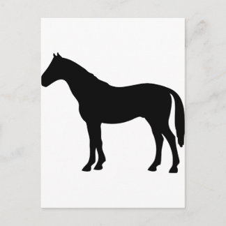 Pferd Postkarte
