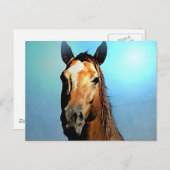 Pferd Postkarte (Vorne/Hinten)
