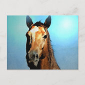 Pferd Postkarte (Vorderseite)