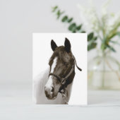 Pferd Postkarte (Stehend Vorderseite)