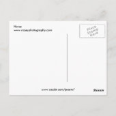 Pferd Postkarte (Rückseite)