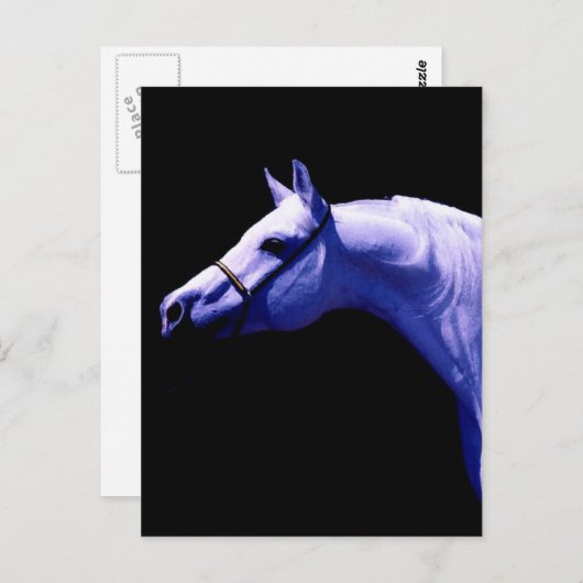 Pferd Postkarte (Vorne/Hinten)