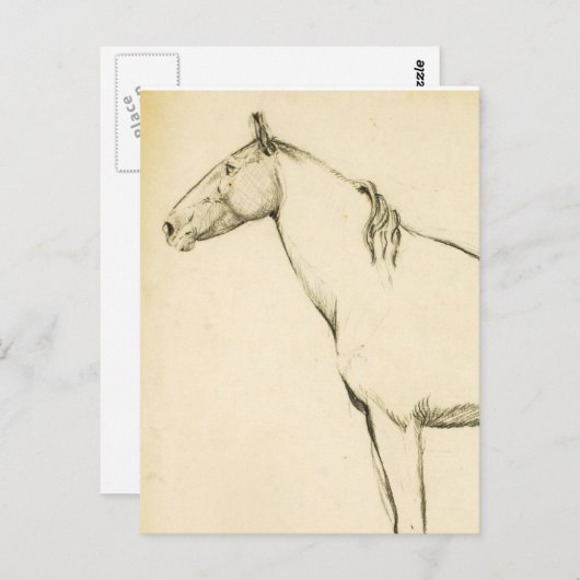 Pferd Postkarte (Vorne/Hinten)