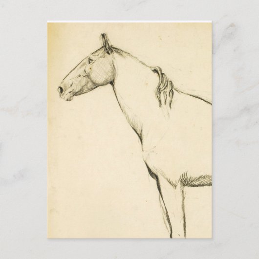 Pferd Postkarte (Vorderseite)