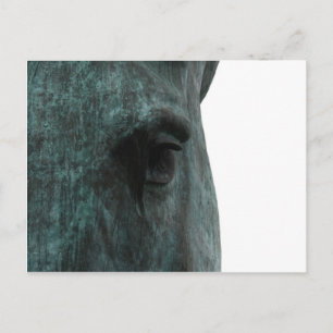 Pferd Postkarte