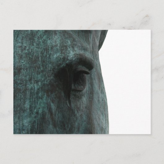 Pferd Postkarte (Vorderseite)