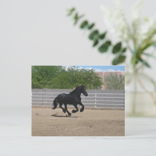 Pferd Postkarte (Stehend Vorderseite)