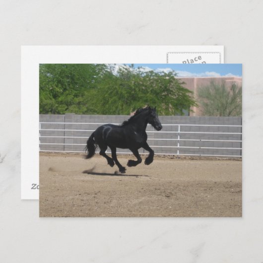 Pferd Postkarte (Vorne/Hinten)