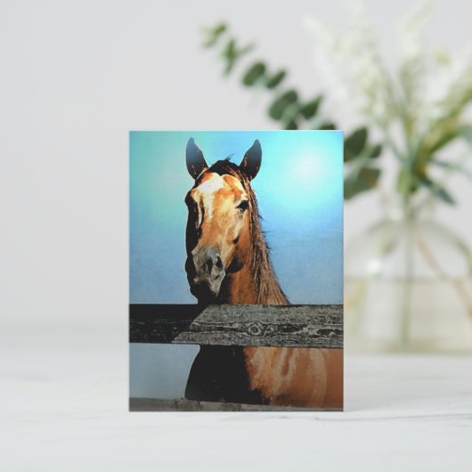 Pferd Postkarte (Stehend Vorderseite)